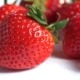 der_mentor-strawberry-7224875_1920